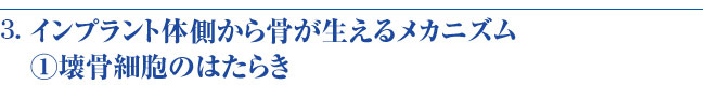 壊骨細胞のはたらき