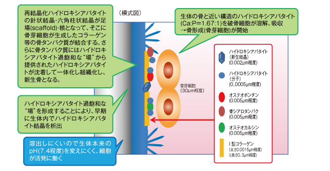 メカニズム