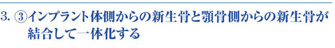 新生骨の結合