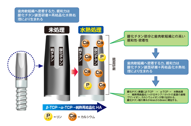 親和性概略図