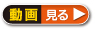 解説を見る